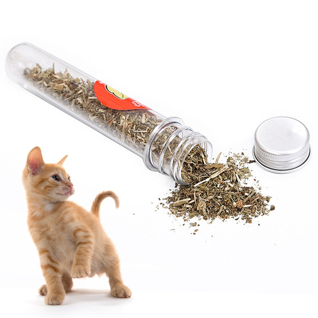 1 Bottle Safety Cat Catnip Teeth Cleaning Natural Cat Treat Kitten Catnip Cat Supply Pet Oral Cleaning Supplies Dropshipping-ebowsos