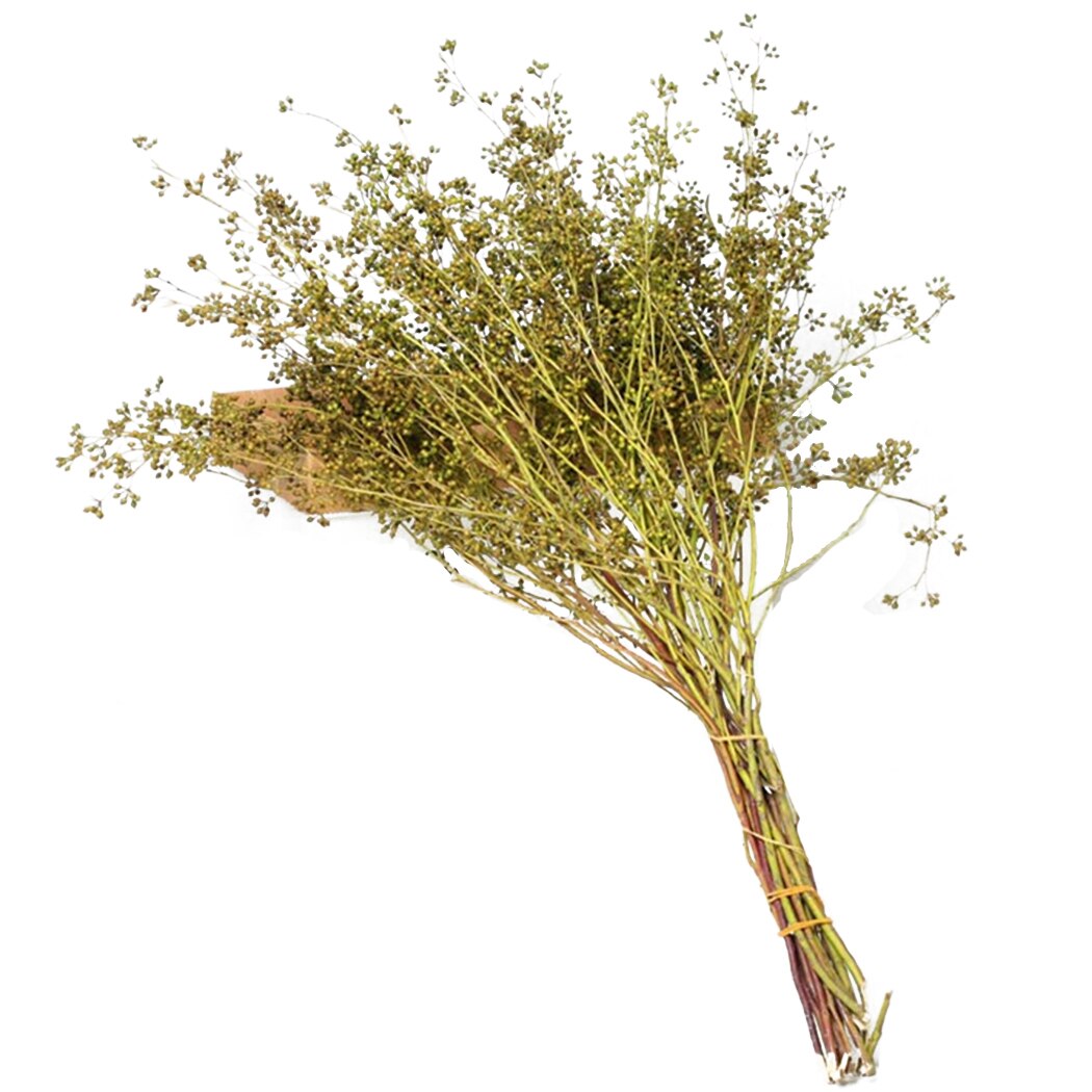 1 Bunch Natural Flower Branch Handmade Natural Dried Flower Decorative Plant Branches Home Decoration Supplies Photography Props-ebowsos