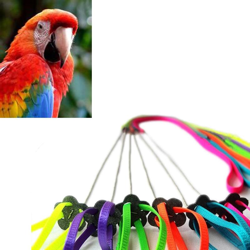 1PC Color Random Parrot Bird Harness & Leash Adjustable Multicolor Light Soft Fashion Bird Harness Leash For Parrot Bird - ebowsos