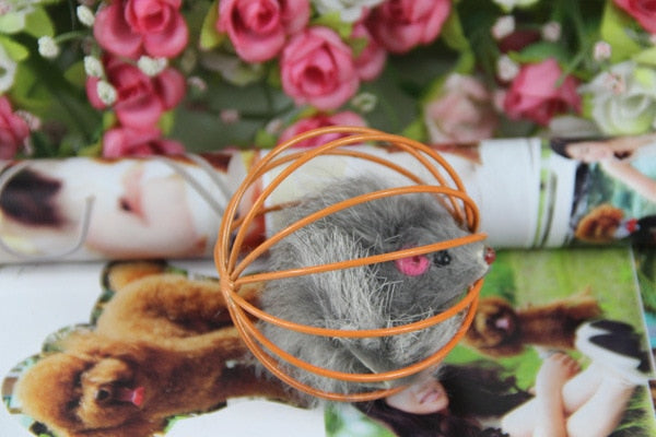 1Pc Cat Toy Cute Creative Cage Rat Toy Plastic Artificial Colorful Cat Teaser Toy Pet Supplies For Cat Random Color-ebowsos