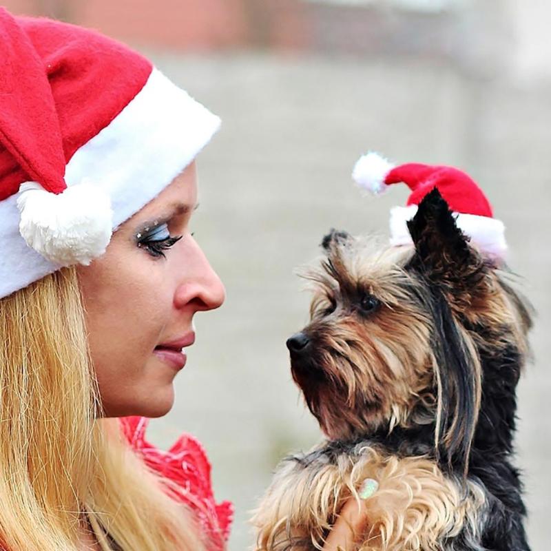 1pcs Christmas Hat Winter Warm Pet Cat Dog Santa Claus Hat Christmas Xmas Decorations New Year Plush Cap Decorations Supplies - ebowsos
