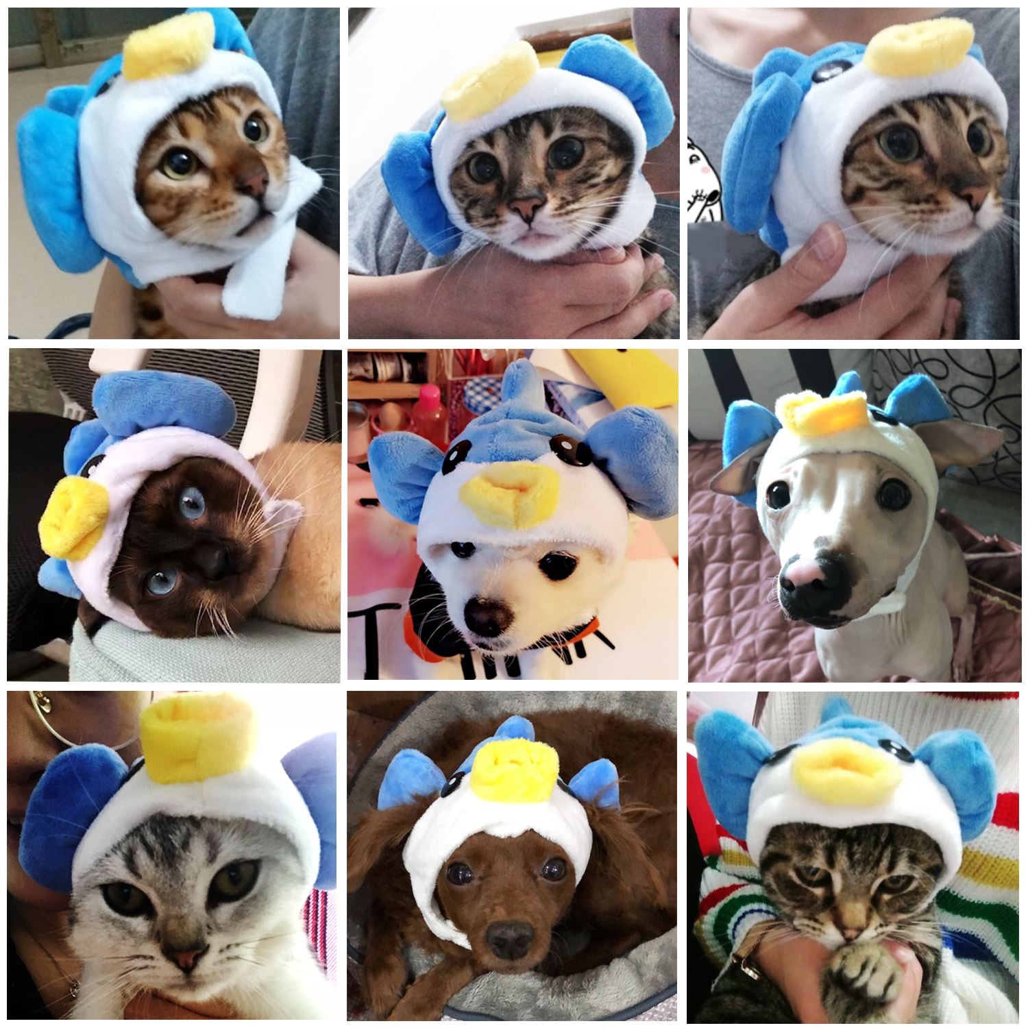 2019 New Cute Cartoon Pet Hat Breathable Lovely Animal Design Cat Costume Pet Headwear Supplies For Kittens-ebowsos