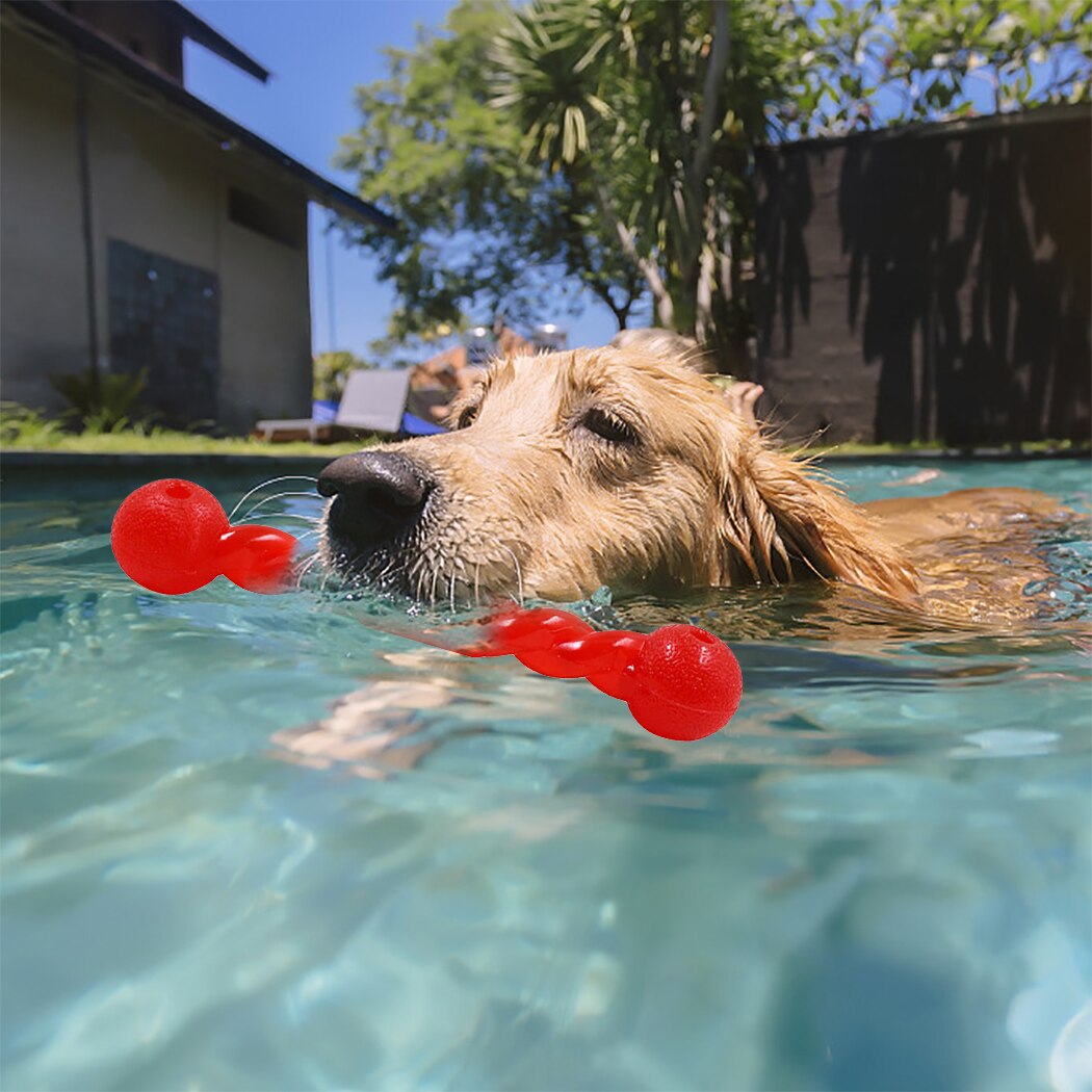 2Pcs Dog Molars Torsion Bar Bite-Resistant Toy Dog Universal Golden Hair Training Interactive Floating Water Toy Pet Supplies-ebowsos