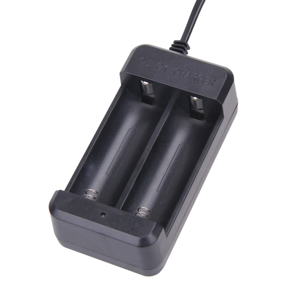 4.2V 1.5A IFR26650/18650 LiFePO4 2-Slot Smart Quick Battery Charger Two Slot Intelligent Battery Charger - ebowsos