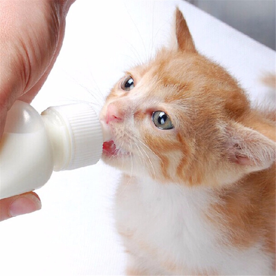 50ML Puppy Kitten Feeding Bottle Set Pet Dog Cat Bady Nursing Water Milk Feeder with Cleaning Brush Newborn Cat Drinking Bottle-ebowsos