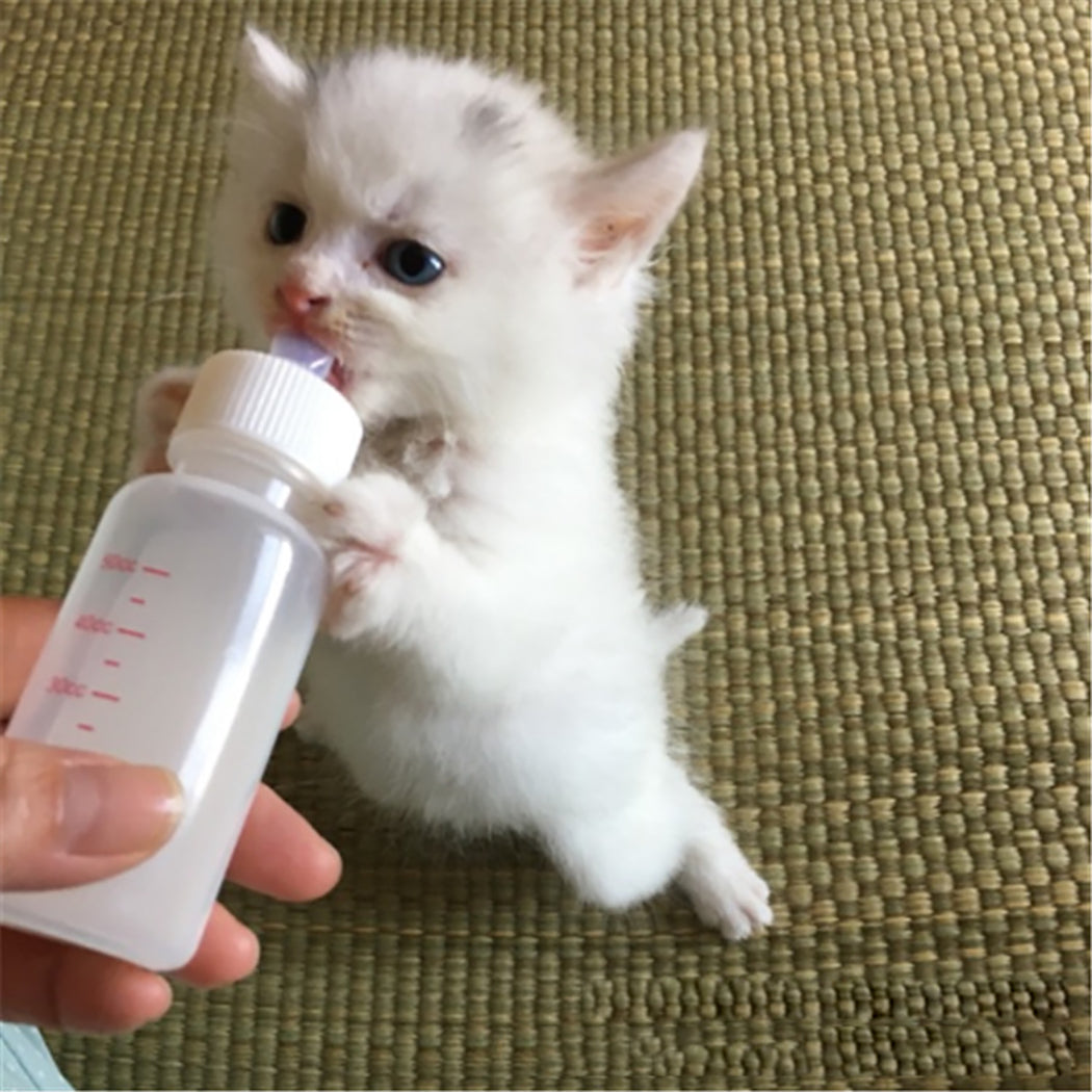 50ML Puppy Kitten Feeding Bottle Set Pet Dog Cat Bady Nursing Water Milk Feeder with Cleaning Brush Newborn Cat Drinking Bottle-ebowsos