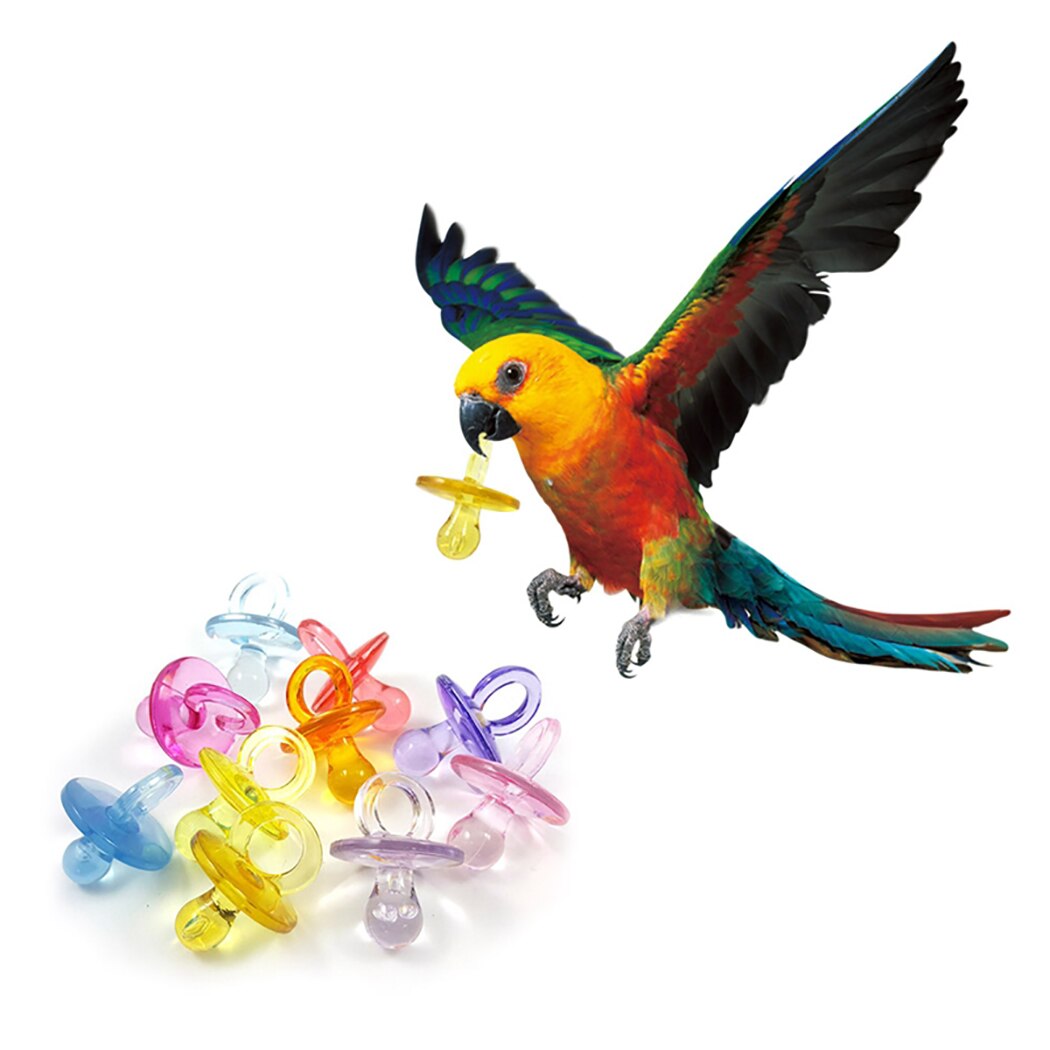 50pcs Colorful Bird Toys Acrylic Nipple Bite Chew Birds Training Supplies DIY Accessory Bird Chew Toy Pet Teething Toy Supplies-ebowsos
