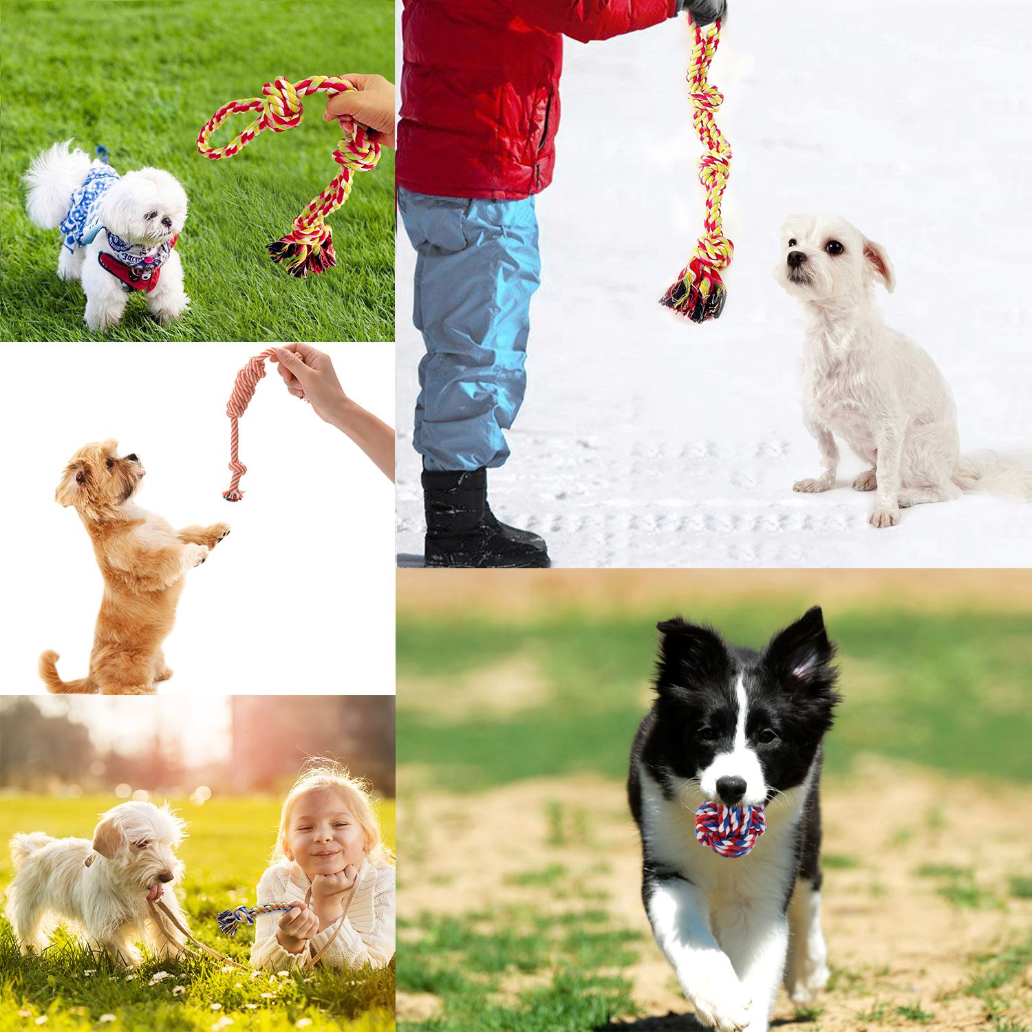 8pcs Random New Design Pets Rope Toys Bite Colorful Squeak Toys Dog Wool Toys Pet Puppy Chew Toys-ebowsos