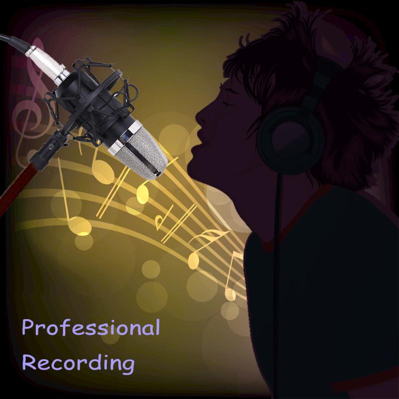Audio Professional Condenser Microphone Mic Studio Sound Recording w/Shock Microfone mic for Radio Braodcasting KTV Karaoke - ebowsos