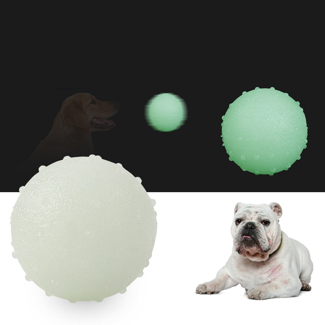 Bite Resistant Funny Pet Ball Solid Glow In The Dark Flexible Pet Teething Toy Pet Chew Ball For Dog Pet Supplies High Quality-ebowsos