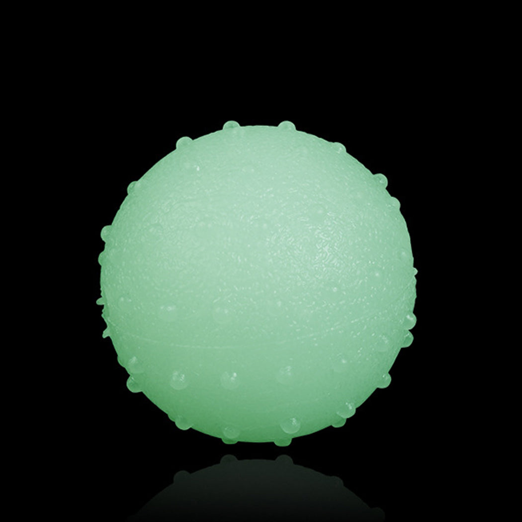 Bite Resistant Funny Pet Ball Solid Glow In The Dark Flexible Pet Teething Toy Pet Chew Ball For Dog Pet Supplies High Quality-ebowsos
