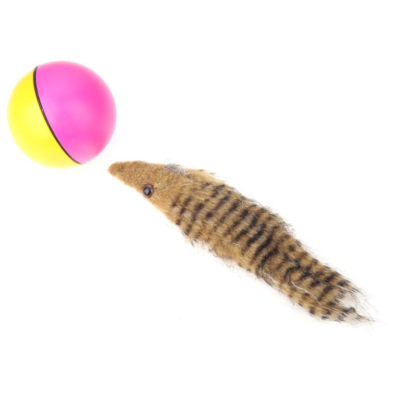 Dog Cat Beaver Weasel Puppy Rolling Play Random Alive New Pet Toy Jump Ball - ebowsos