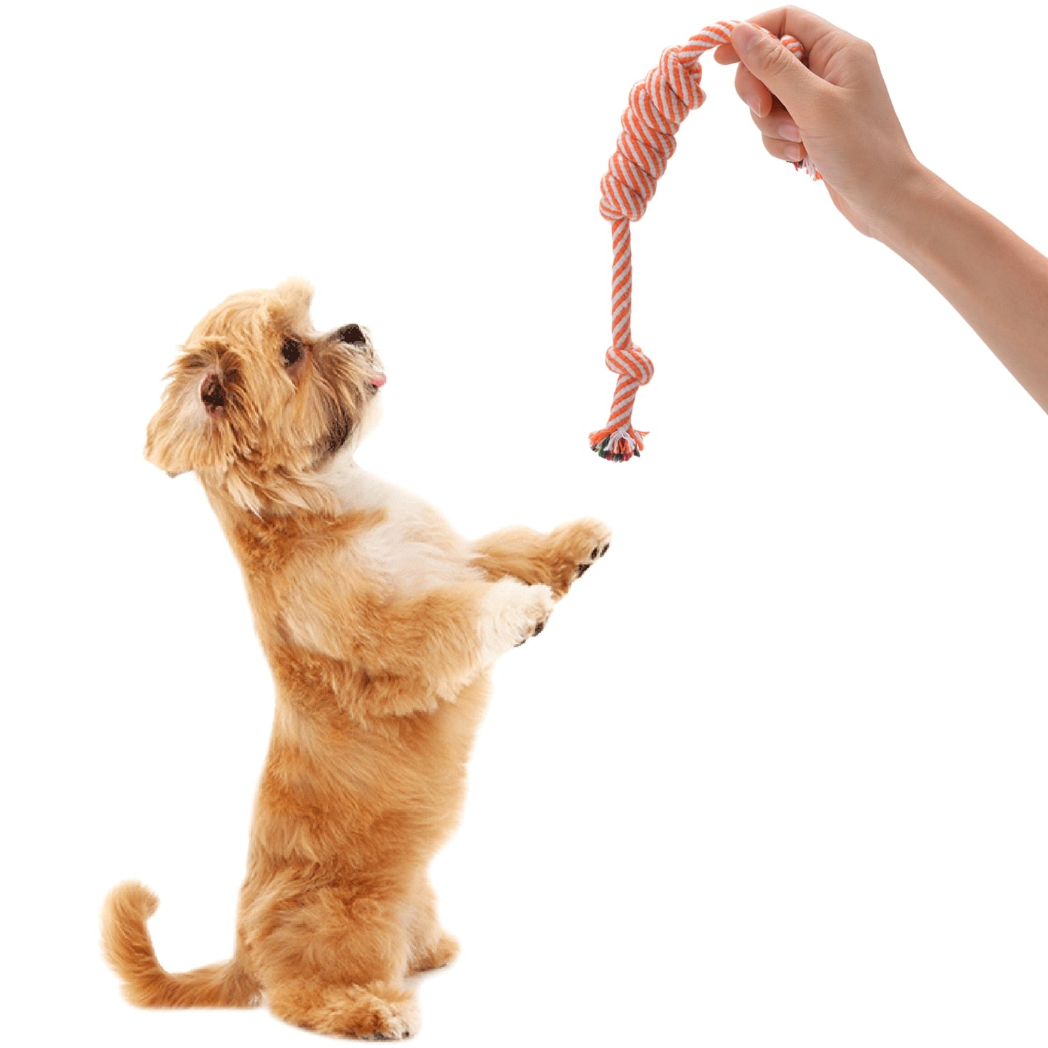 Dog Chew Toy Interactive Funny Pet Rope Toy Pet Teething Toy Dog Rope Toy For Outdoor Playing Random Color-ebowsos