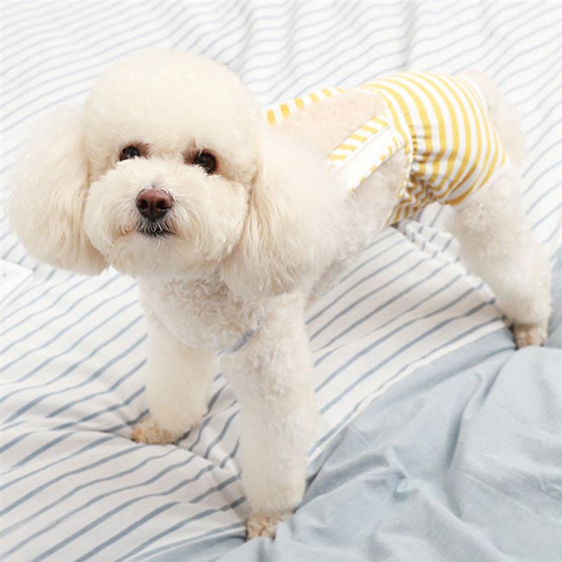Dog Diaper Reusable Creative Stripe Decor Fashion Pet Diaper Dog Sanitary Pantie Pet Supplies For Outdoor-ebowsos