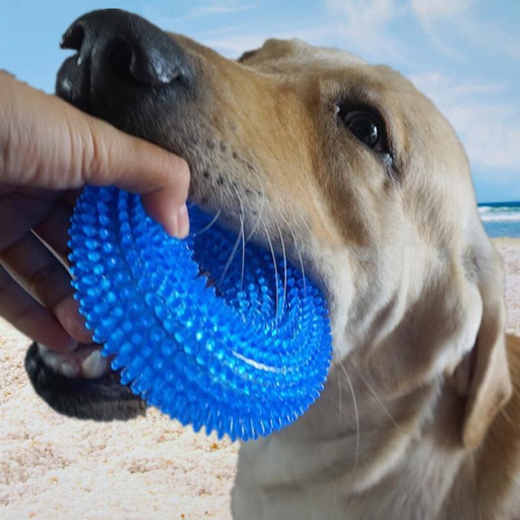 Dog Squeaky Ball Interactive Bite Resistant Chewing Ball Pet Teething Toy Soft Rubber Pet Dog Chewing Toy-ebowsos