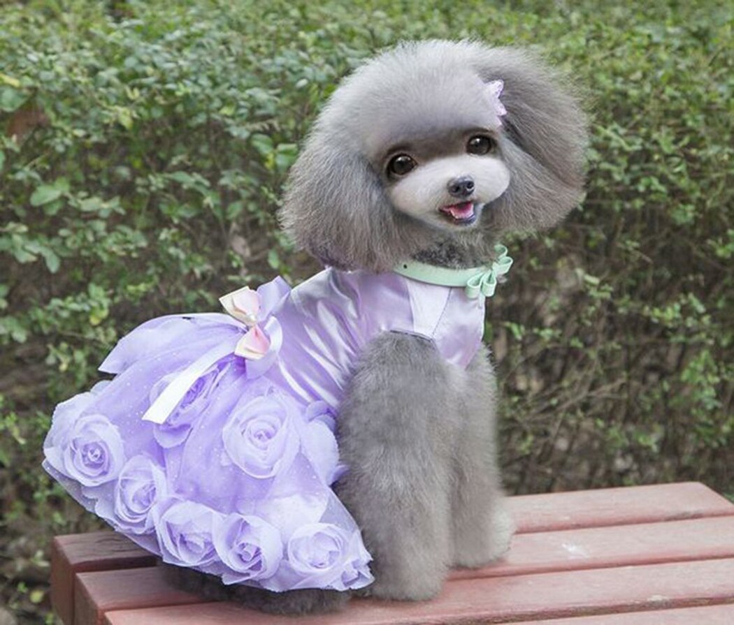 Fashion Spring And Summer Dog Wedding Dress Bridesmaid Pet Clothing Chihuahua Poodle Yorkies Costume Pet Clothing Accessories-ebowsos