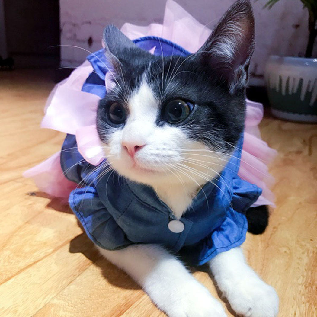 Fashion Spring And Summer Dog Wedding Dress Jean Summer Dog Clothes Cute Bow Princess Puppy Skirt Pet Clothing Accessories-ebowsos