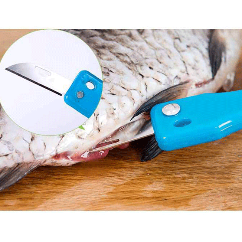 Practical Fish Scale Remover Plastic Descaler Cleaning Scraper Kitchen Fruit Vegetable Peeler Useful Scraper Accessories - ebowsos