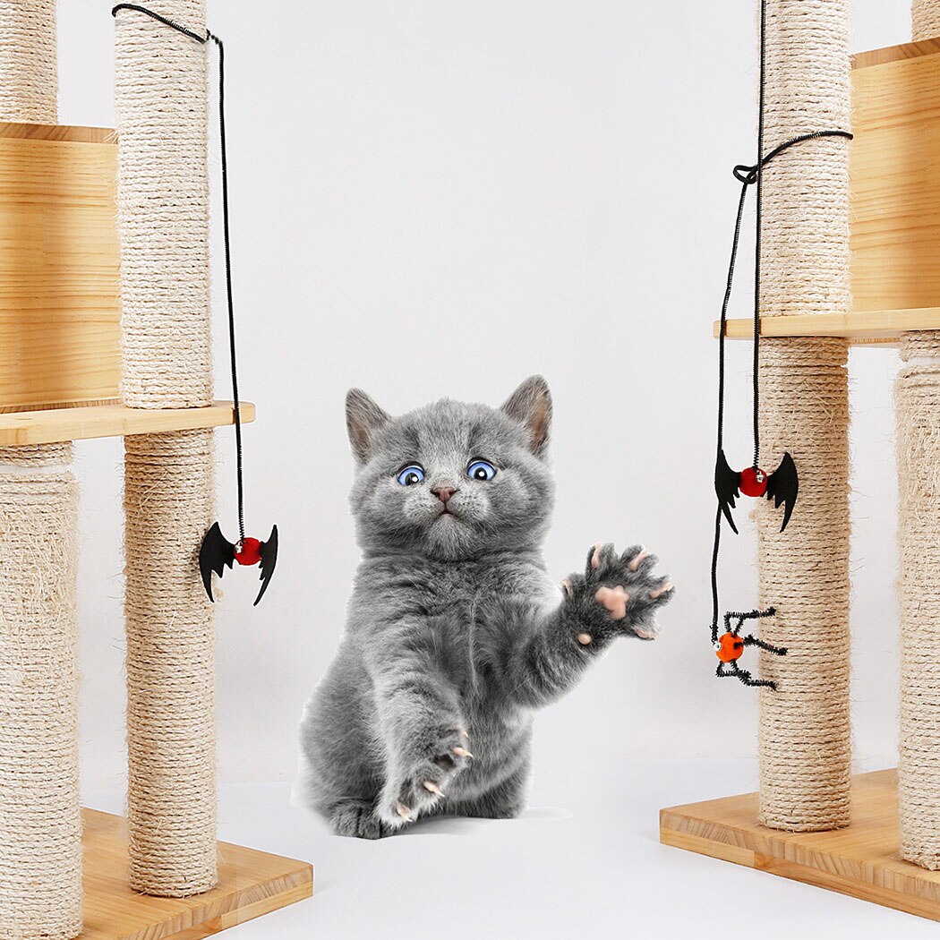 Halloween Cat Toy Pet Ball Bell Spring Play Rope Finger Funny Cat Toy Red Bats Orange Spider Pet Interactive Toy Supplies-ebowsos