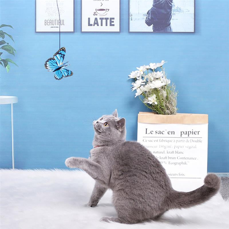 1pc Cat Teaser Wand Creative Funny Butterfly Decor Cat Teaser Toy Cat Training Toy Pet Supplies Cat Favors-ebowsos