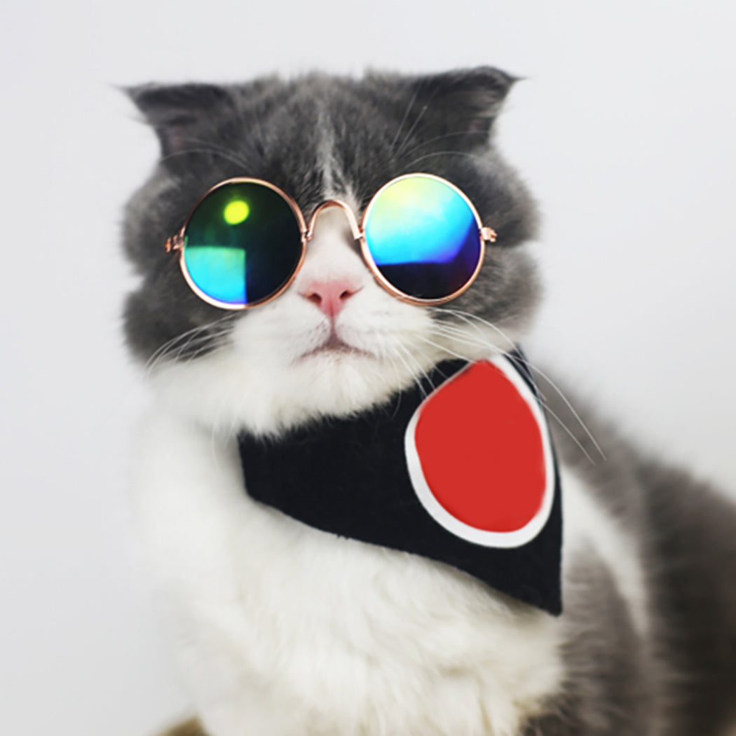 Mini Personality Trend Pet Sunglasses Creative Fashion Metal Classic Cat Sunglasses Pet Glasses For Cat Pet Clothing Accessories-ebowsos