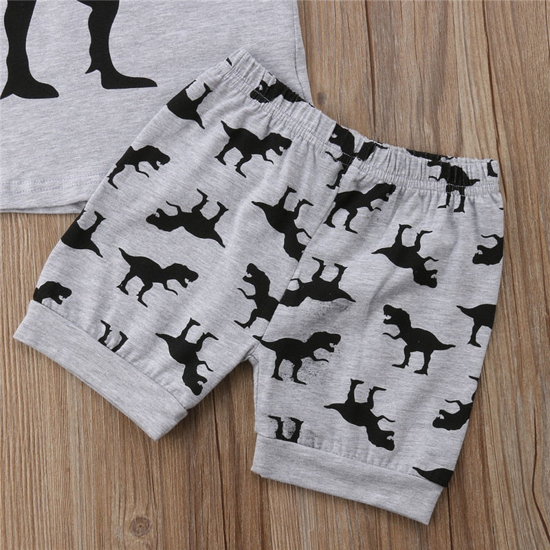 Newborn Baby Boys Dinosaur Print Tops Cotton T-shirt+Pants Outfits Clothes 2pcs Sets - ebowsos