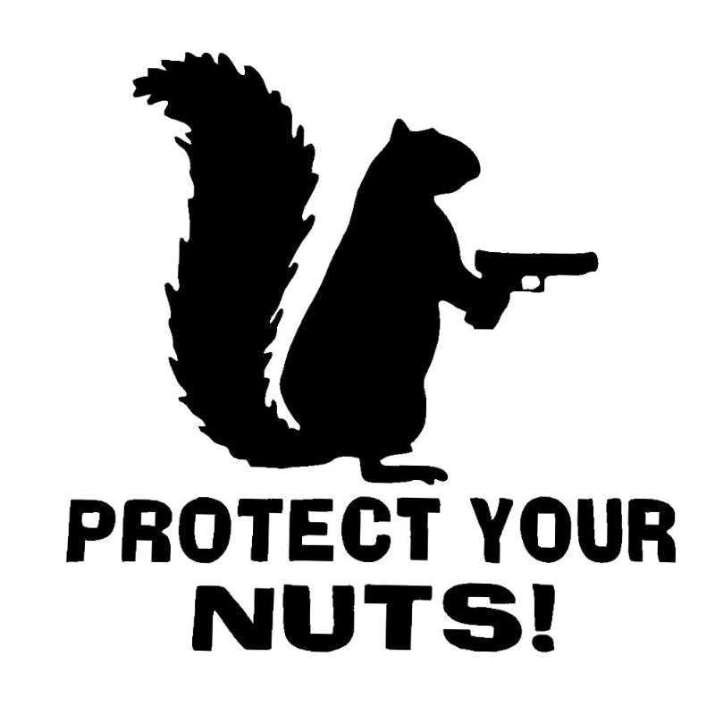 PROTECT YOUR NUTS Car Windscreen Panel Bumper Car Truck Reflective Sticker - ebowsos