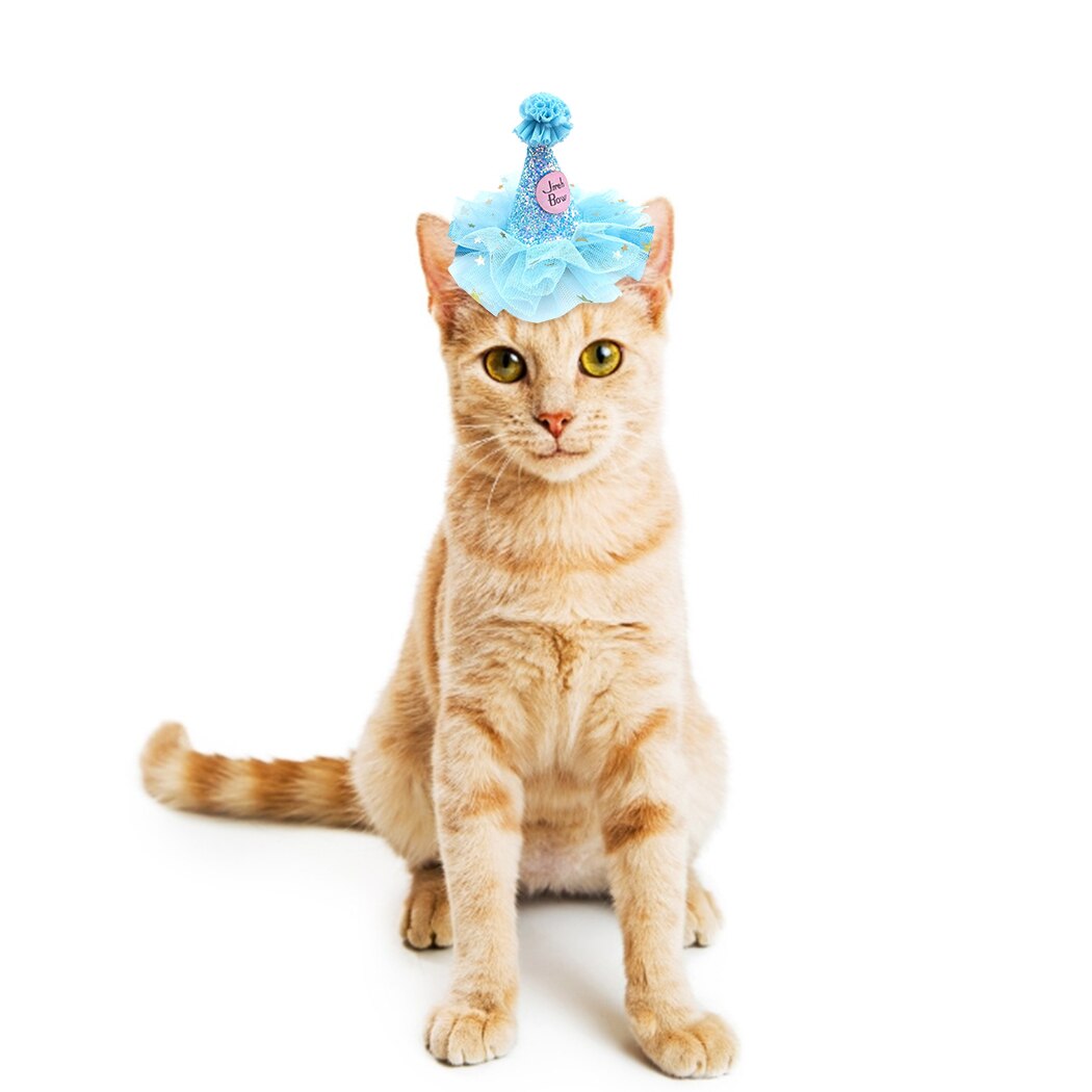 Pet Birthday Hat Tulle Glitter Birthday Cone Pet Headband Headwear For Dogs Cats Party Dress Up Hair Accessories Blue Pink Red-ebowsos