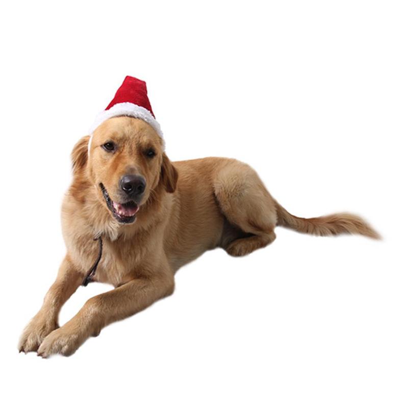 Pet Christmas Ornament Decoration Elastic Belt Santa Hats Cap for Christmas - ebowsos