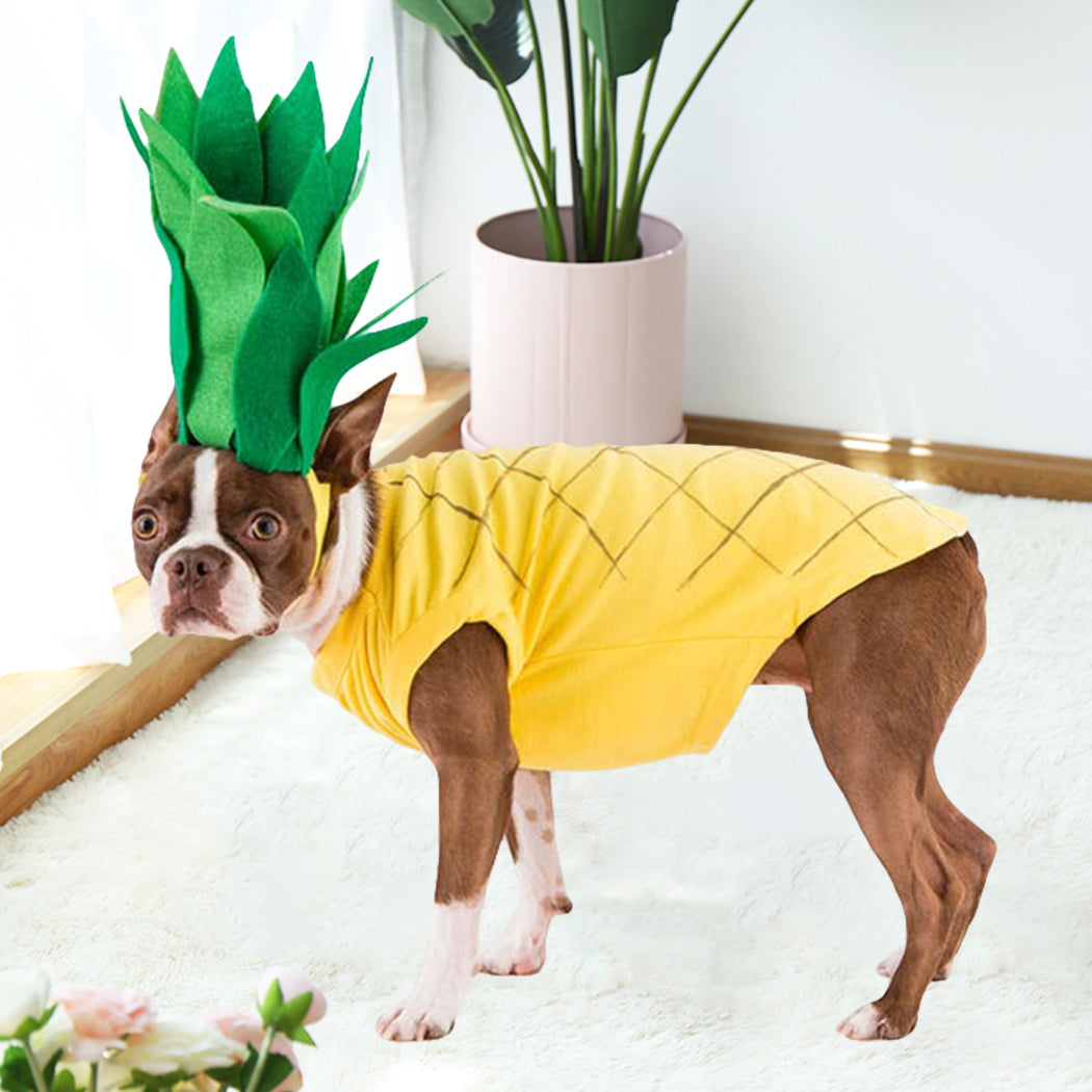 Pet Costume Set Creative Lovely Pineapple Decor Dog Costume Set Dog Shirt With Hat Cat Dog Party Dress Up Pet Supplies-ebowsos