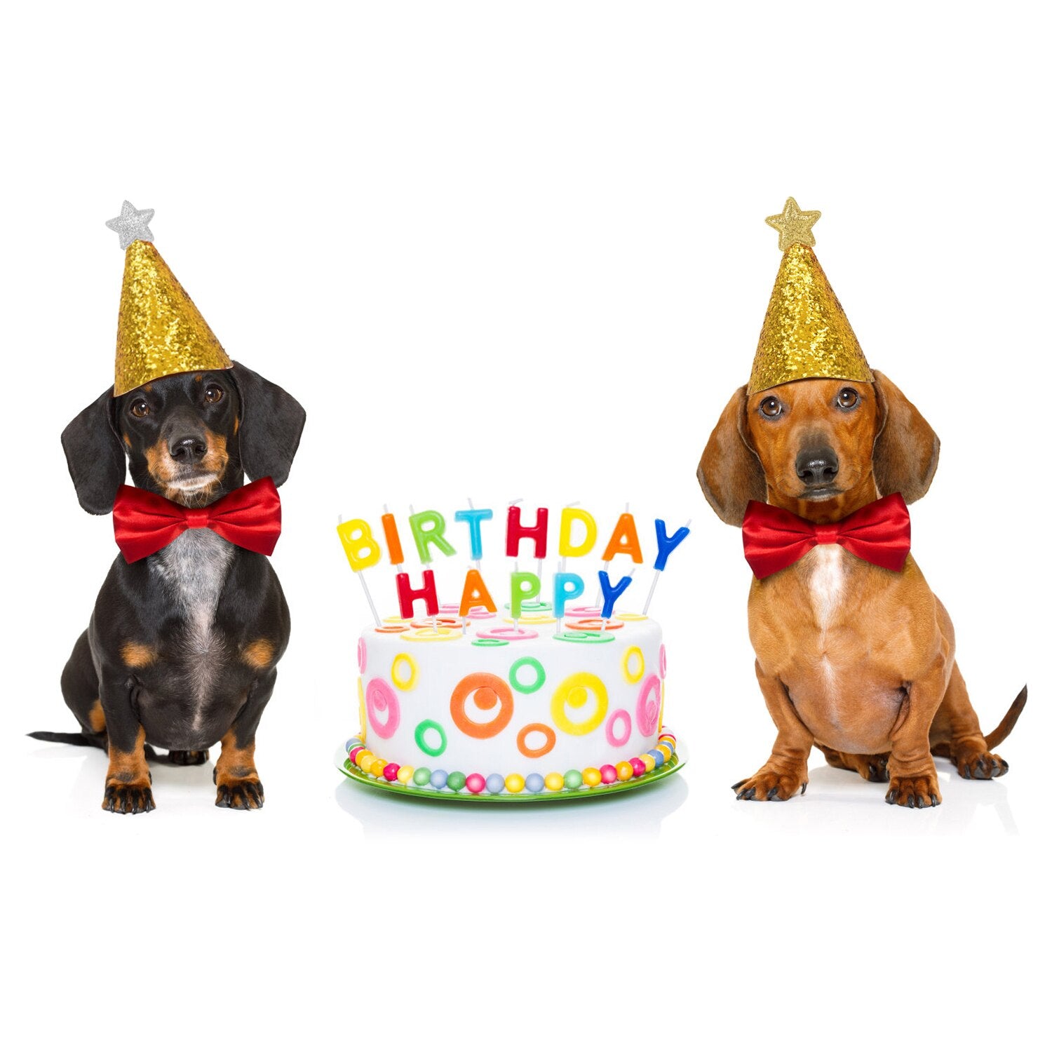 Pet Dog Puppy Birthday Glitter Sequins Hat Party Shiny Costume Dog Birthday Decor Hat Headwear Birthday Pet Decor-ebowsos