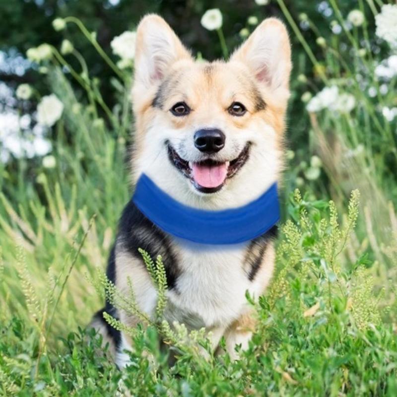 Pet Summer Cold Scarf Soft Ice Bag Necklace Cooling Collar Practical for Dogs Wrap Neck Necessary Pet Heat Protection Gadgets - ebowsos