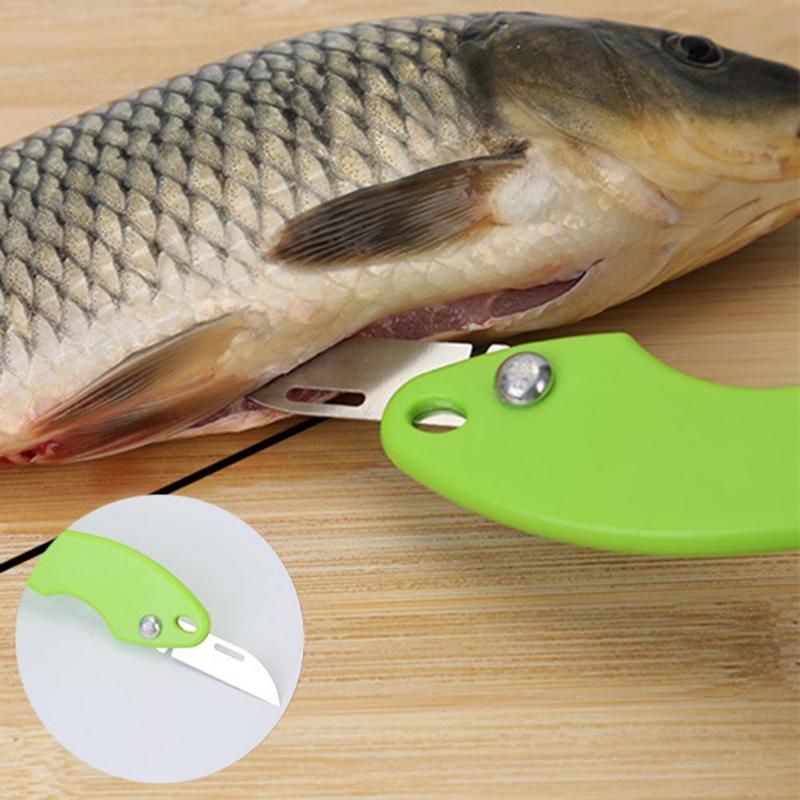 Plastic Fish Scales Scraper Graters Fish Cleaning Scraping Scales Device - ebowsos