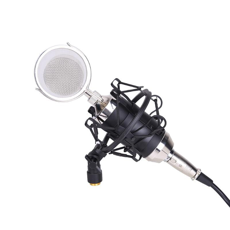 Professional Sound Dynamic Mic Studio Recording Condensor Microphone For Studios Recording Studios Broadcasting Stations - ebowsos