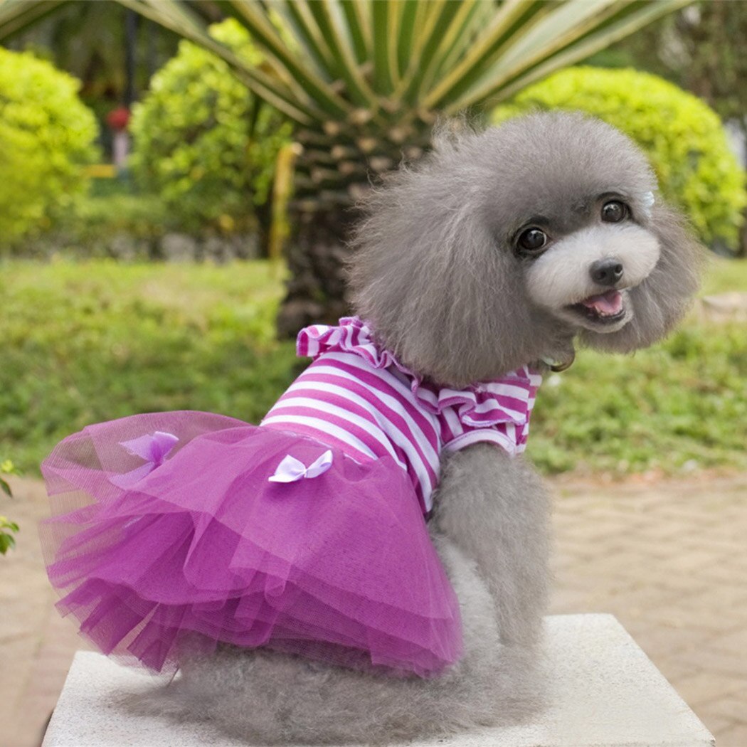 Spring Summer New Small Dogs Dress Pet Wedding Bridesmaid Dress Hawaiian Party Pet Clothing Supplies For Dog-ebowsos