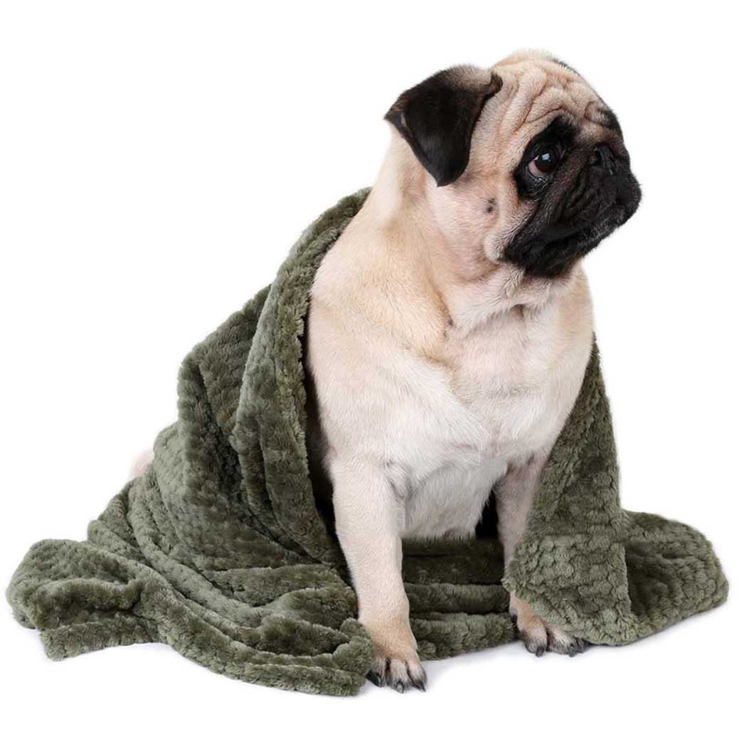 Super Soft Fleece Blanket Flannel Solid Color Breathable Blanket Towel Portable Dog Cover Throw Blanket-ebowsos