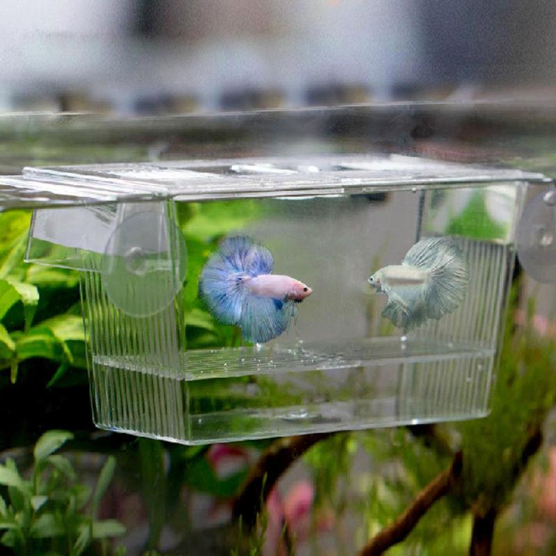 Transparent Fish Tank Breeding Isolation Box Aquarium Incubator Hatching Boxes Multifunctional Acrylic Fish Tank Holder - ebowsos