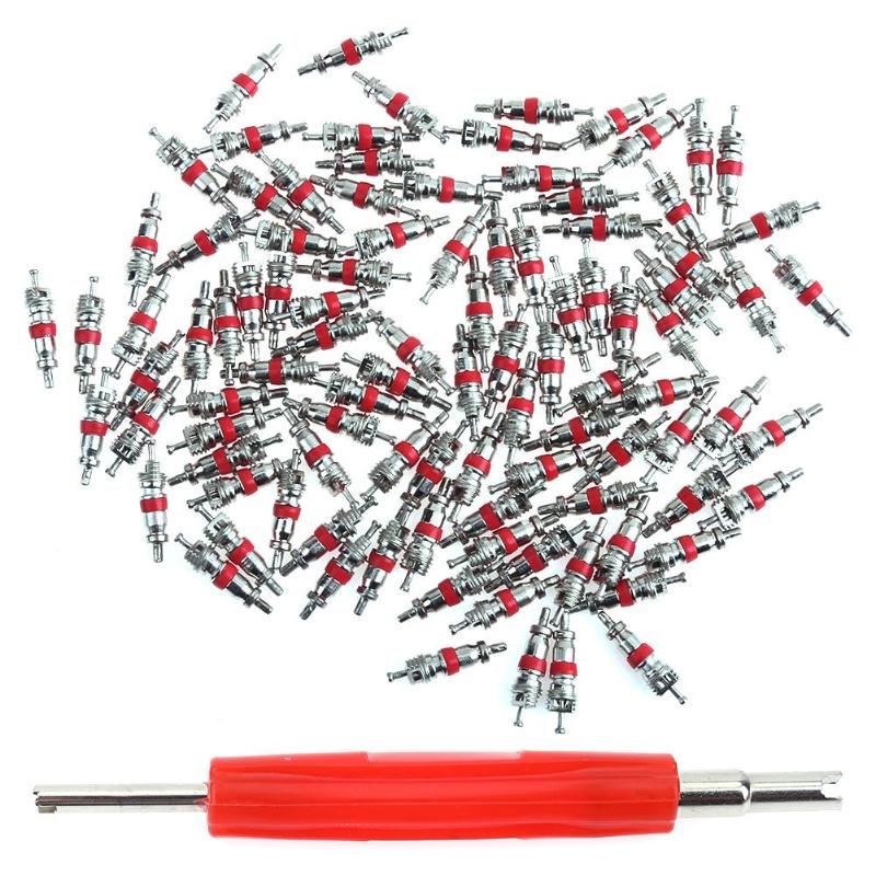 100pcs Car Truck Motorcycle Tyre Tire A/C Air Conditioning Schrader Repair Automobile Valve Cores with Remover Tool Kit - ebowsos