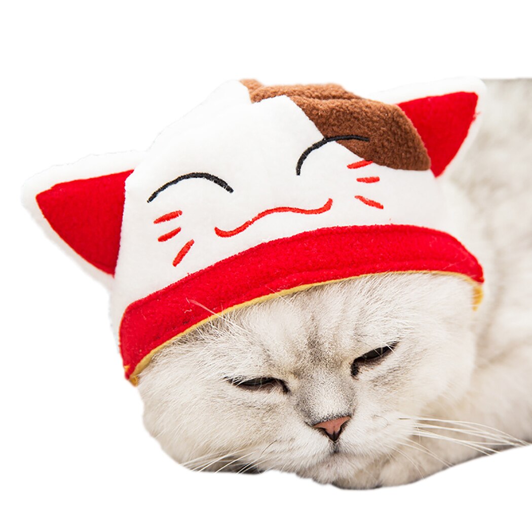Warm Dog Hat Funny Fashion Cosplay Dog Cap Cat Hat Pet Costume Teddy Dog Cat Funny Headgear Jewelry For Party Decor-ebowsos